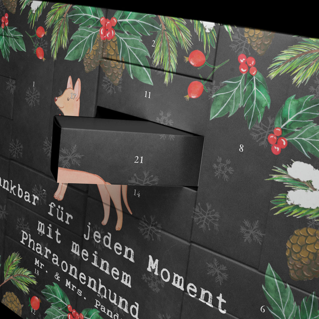 Befüllbarer Adventskalender Pharaonenhund Moment Befüllbarer Adventskalender, Adventskalender zum selbst befüllen, Hund, Hunderasse, Rassehund, Hundebesitzer, Geschenk, Tierfreund, Schenken, Welpe, Pharaonenhund, Pharaoh Hound, Kelb tal-Fenek