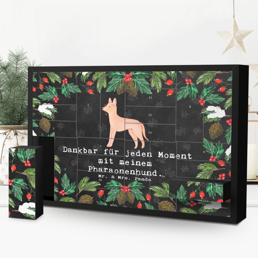 Befüllbarer Adventskalender Pharaonenhund Moment Befüllbarer Adventskalender, Adventskalender zum selbst befüllen, Hund, Hunderasse, Rassehund, Hundebesitzer, Geschenk, Tierfreund, Schenken, Welpe, Pharaonenhund, Pharaoh Hound, Kelb tal-Fenek