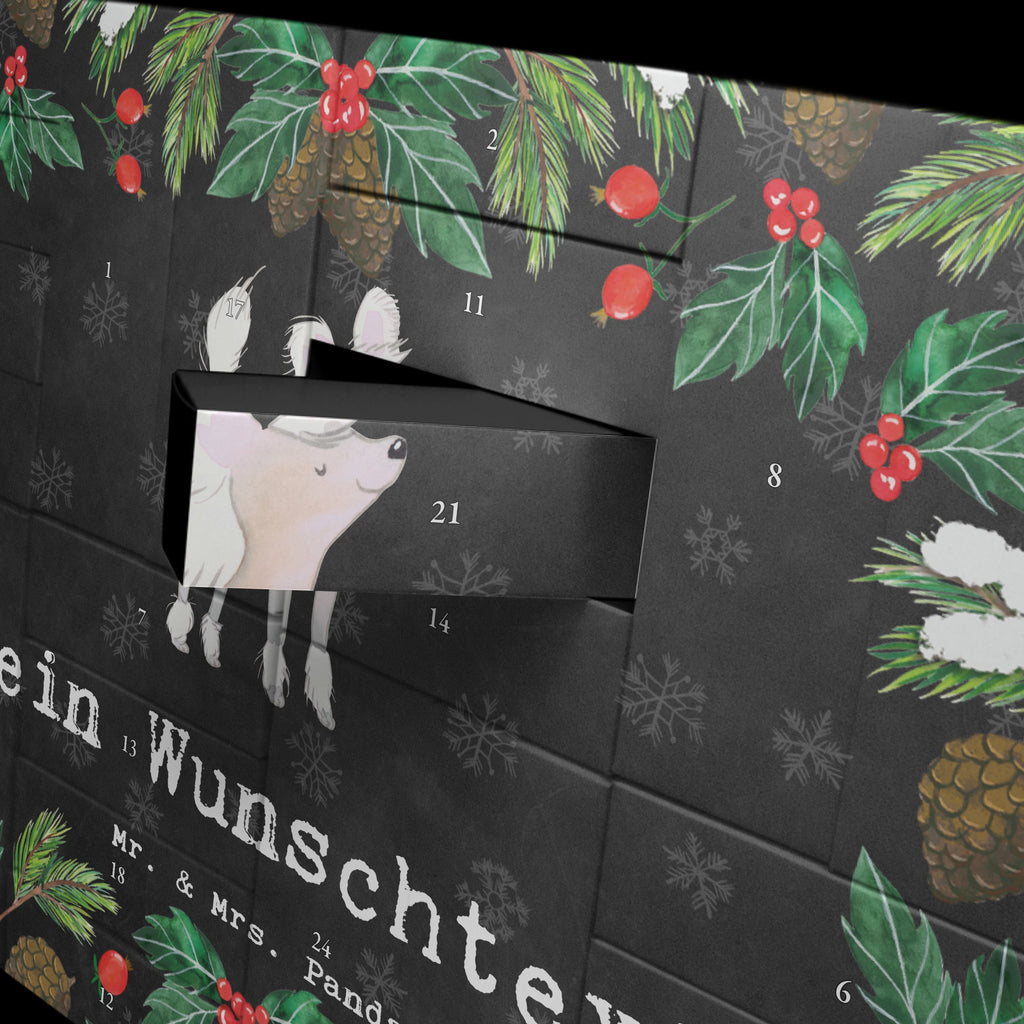 Personalisierter Befüllbarer Adventskalender Chinesischer Schopfhund Moment Befüllbarer Adventskalender, Adventskalender zum selbst befüllen, Hund, Hunderasse, Rassehund, Hundebesitzer, Geschenk, Tierfreund, Schenken, Welpe, Chinesischer Schopfhund, Chinese Crested Dog