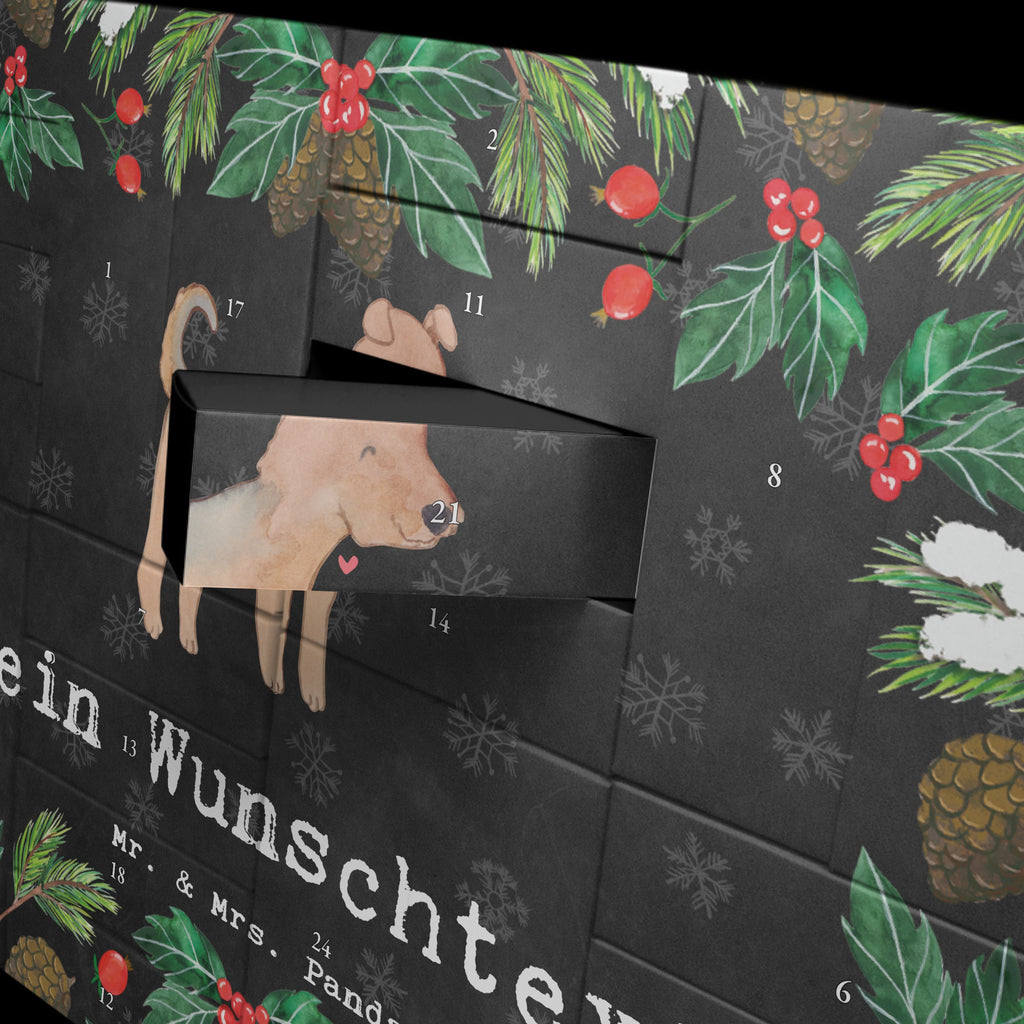 Personalisierter Befüllbarer Adventskalender Airedale Terrier Moment Befüllbarer Adventskalender, Adventskalender zum selbst befüllen, Hund, Hunderasse, Rassehund, Hundebesitzer, Geschenk, Tierfreund, Schenken, Welpe, Airedale Terrier