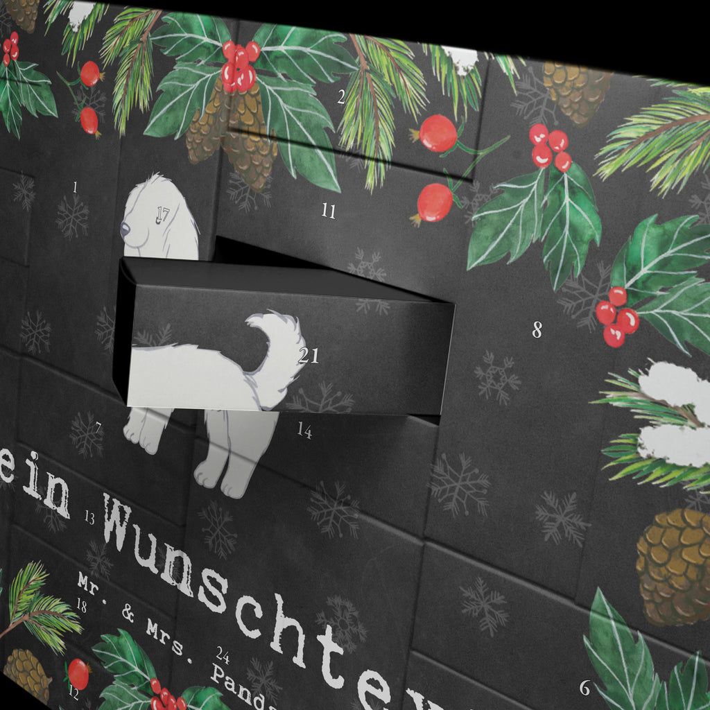 Personalisierter Befüllbarer Adventskalender Bologneser Moment Befüllbarer Adventskalender, Adventskalender zum selbst befüllen, Hund, Hunderasse, Rassehund, Hundebesitzer, Geschenk, Tierfreund, Schenken, Welpe, Bologneser