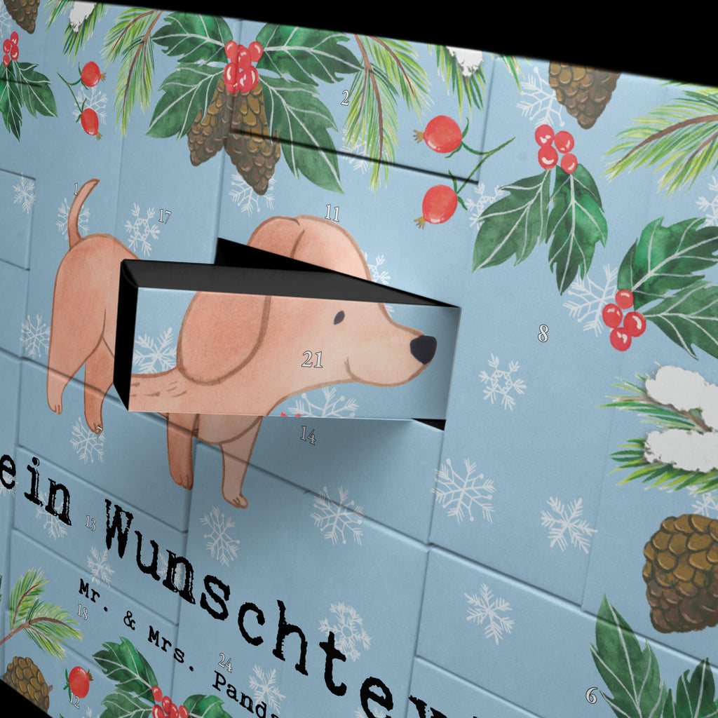 Personalisierter Befüllbarer Adventskalender Dackel Kurzhaardackel Moment Befüllbarer Adventskalender, Adventskalender zum selbst befüllen, Hund, Hunderasse, Rassehund, Hundebesitzer, Geschenk, Tierfreund, Schenken, Welpe, Teckel, Dachshund, Kurzhaardackel