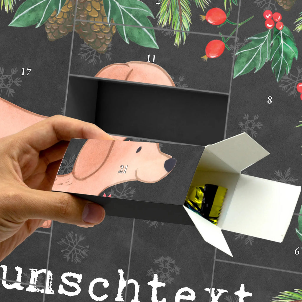 Personalisierter Befüllbarer Adventskalender Dackel Kurzhaardackel Moment Befüllbarer Adventskalender, Adventskalender zum selbst befüllen, Hund, Hunderasse, Rassehund, Hundebesitzer, Geschenk, Tierfreund, Schenken, Welpe, Teckel, Dachshund, Kurzhaardackel