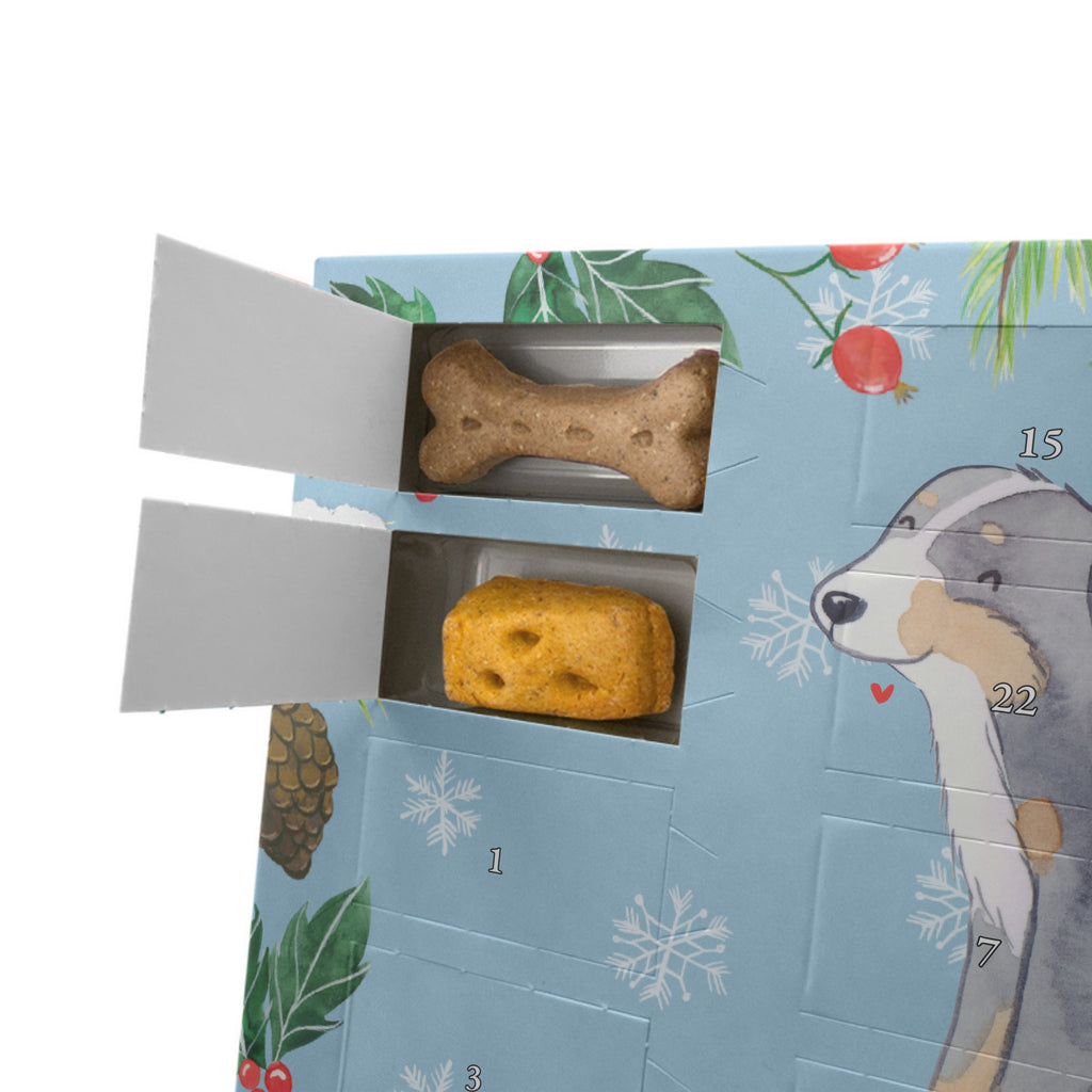 Personalisierter Hunde Adventskalender Berner Sennenhund Moment Hunde Adventskalender, Hund, Hunderasse, Rassehund, Hundebesitzer, Geschenk, Tierfreund, Schenken, Welpe, Dürrbächler, Berner Sennenhund