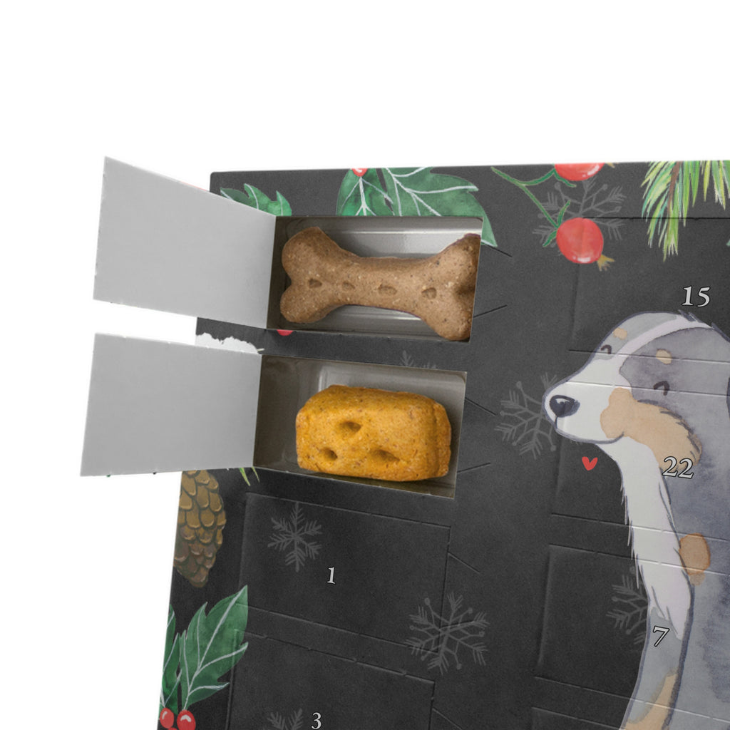 Personalisierter Hunde Adventskalender Berner Sennenhund Moment Hunde Adventskalender, Hund, Hunderasse, Rassehund, Hundebesitzer, Geschenk, Tierfreund, Schenken, Welpe, Dürrbächler, Berner Sennenhund