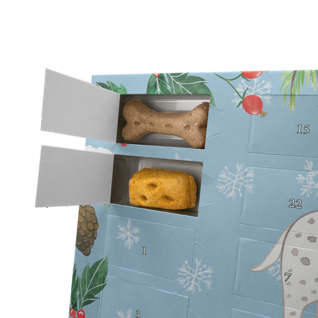 Personalisierter Hunde Adventskalender Dalmatiner Moment Hunde Adventskalender, Hund, Hunderasse, Rassehund, Hundebesitzer, Geschenk, Tierfreund, Schenken, Welpe, Dalmatiner, Dalmatinac