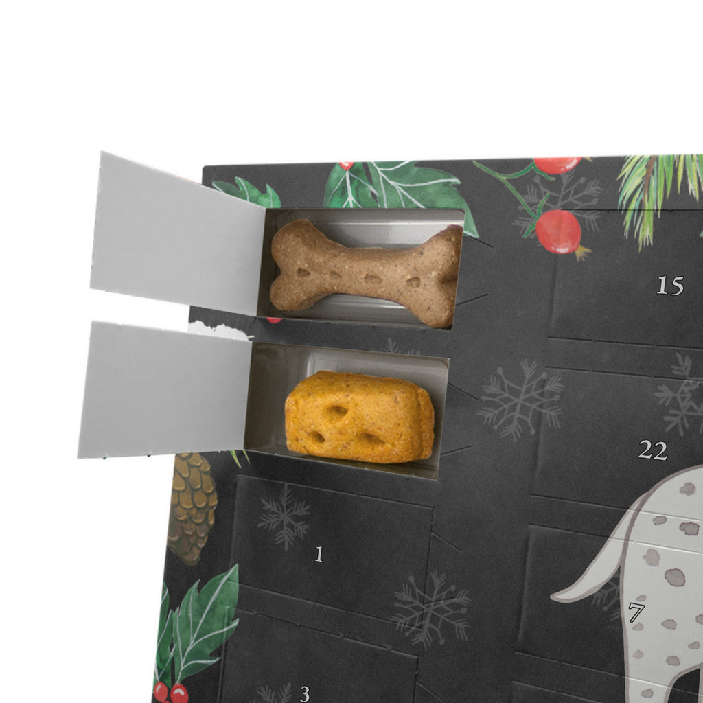 Personalisierter Hunde Adventskalender Dalmatiner Moment Hunde Adventskalender, Hund, Hunderasse, Rassehund, Hundebesitzer, Geschenk, Tierfreund, Schenken, Welpe, Dalmatiner, Dalmatinac