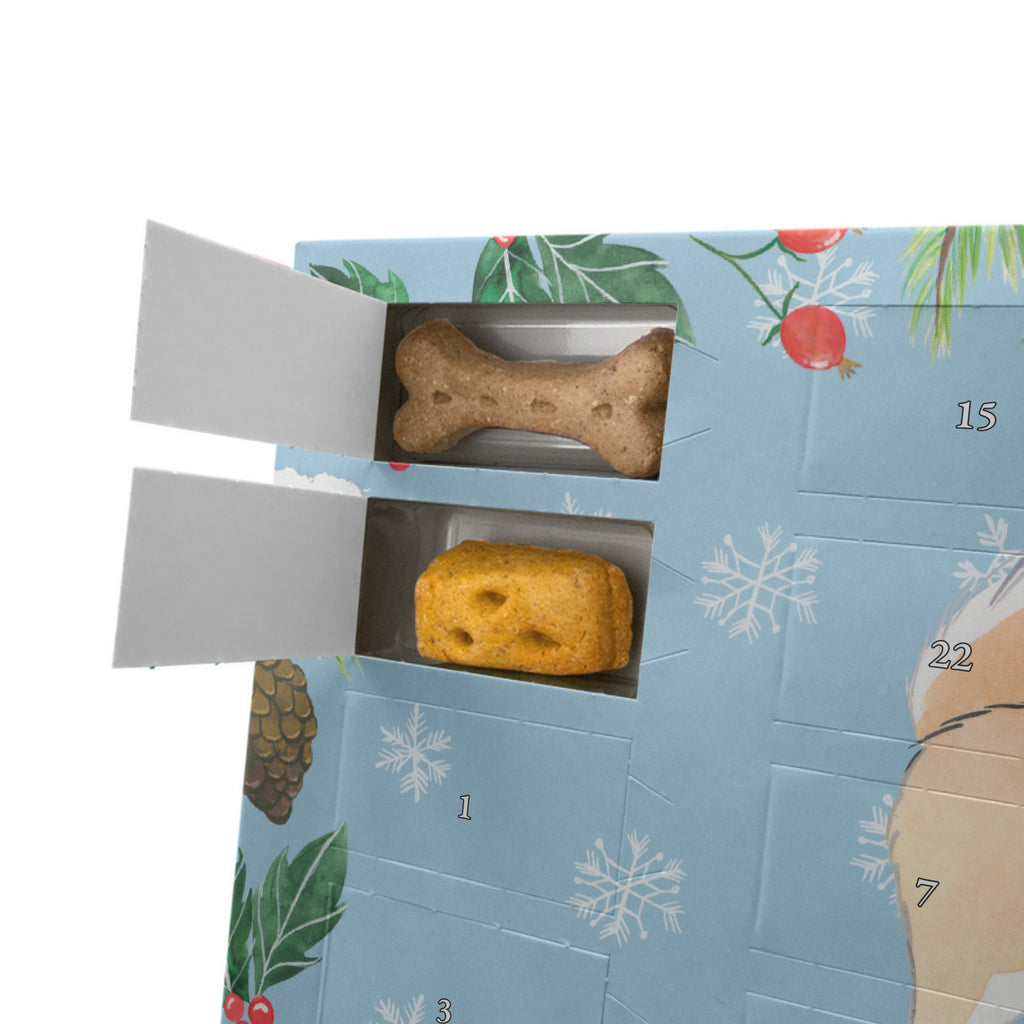 Personalisierter Hunde Adventskalender Islandhund Moment Hunde Adventskalender, Hund, Hunderasse, Rassehund, Hundebesitzer, Geschenk, Tierfreund, Schenken, Welpe, Islandhund, isländischer Schäferhund