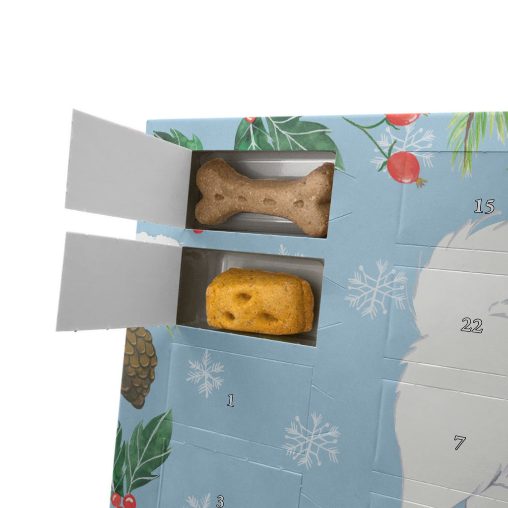 Personalisierter Hunde Adventskalender Samojede Moment Hunde Adventskalender, Hund, Hunderasse, Rassehund, Hundebesitzer, Geschenk, Tierfreund, Schenken, Welpe, Samojede, Samojedenhund, Samojedenspitz