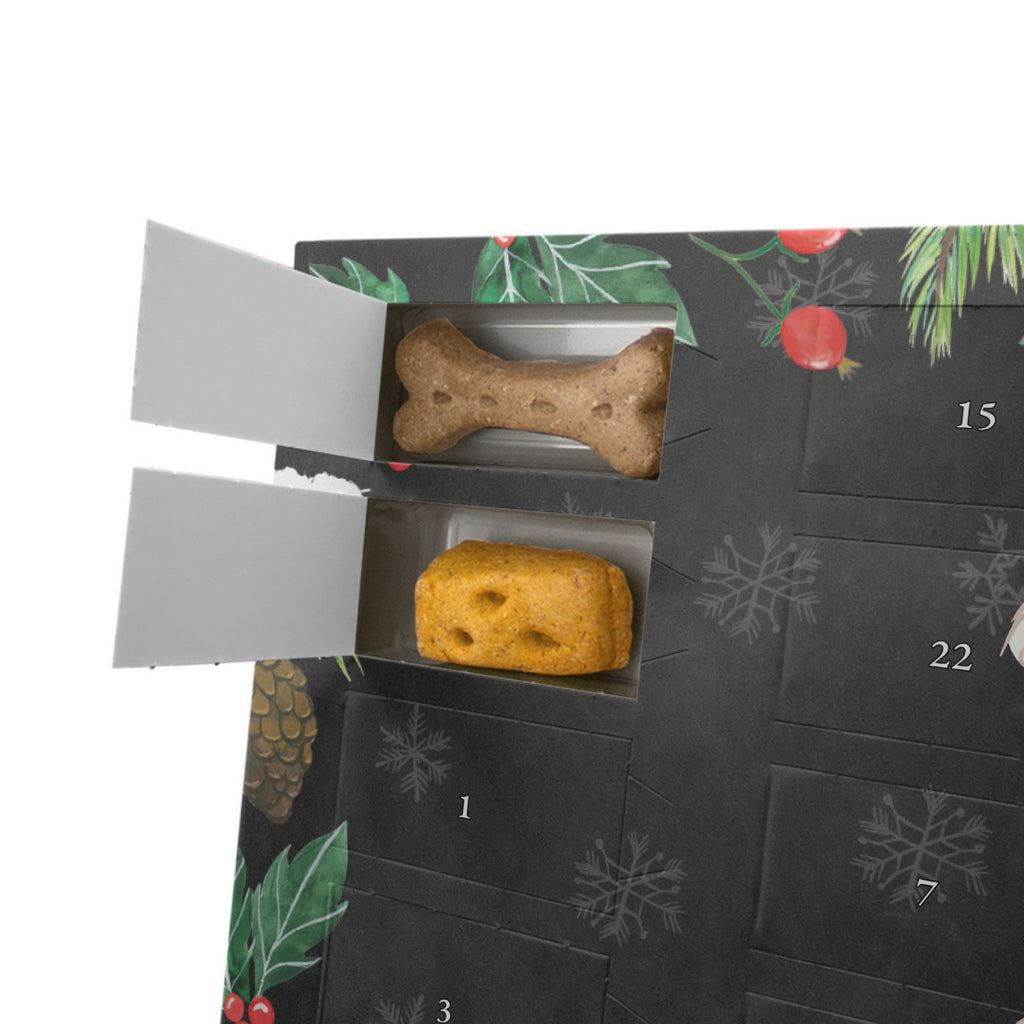 Personalisierter Hunde Adventskalender Bolonka Zwetna Moment Hunde Adventskalender, Hund, Hunderasse, Rassehund, Hundebesitzer, Geschenk, Tierfreund, Schenken, Welpe, Bolonka Zwetna, Tsvetnaya Bolonka