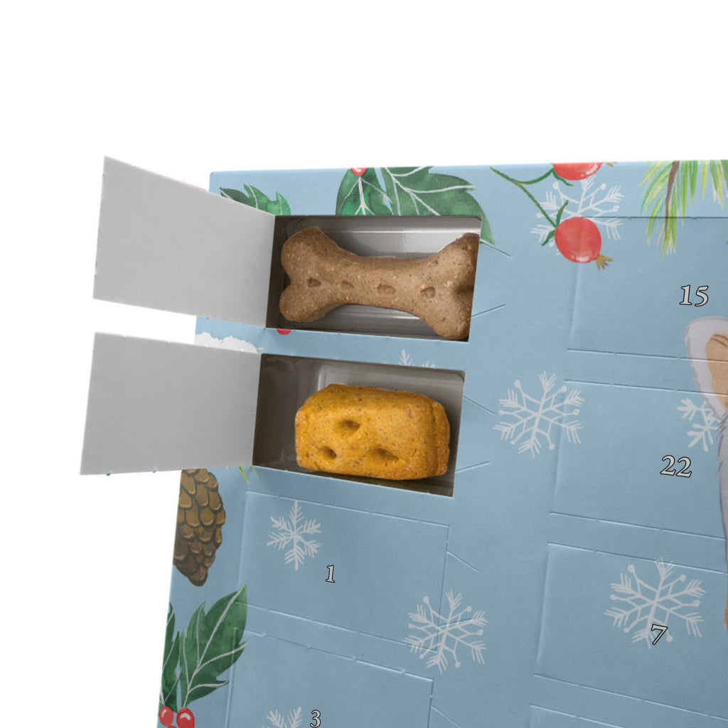 Personalisierter Hunde Adventskalender Prager Rattler Moment Hunde Adventskalender, Hund, Hunderasse, Rassehund, Hundebesitzer, Geschenk, Tierfreund, Schenken, Welpe, Pincher, Prager Rattler