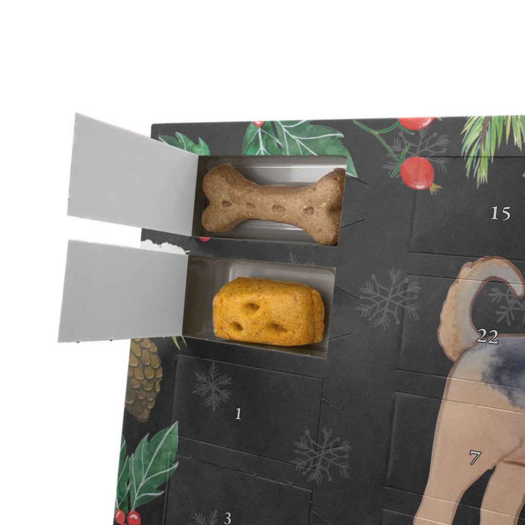 Personalisierter Hunde Adventskalender Airedale Terrier Moment Hunde Adventskalender, Hund, Hunderasse, Rassehund, Hundebesitzer, Geschenk, Tierfreund, Schenken, Welpe, Airedale Terrier