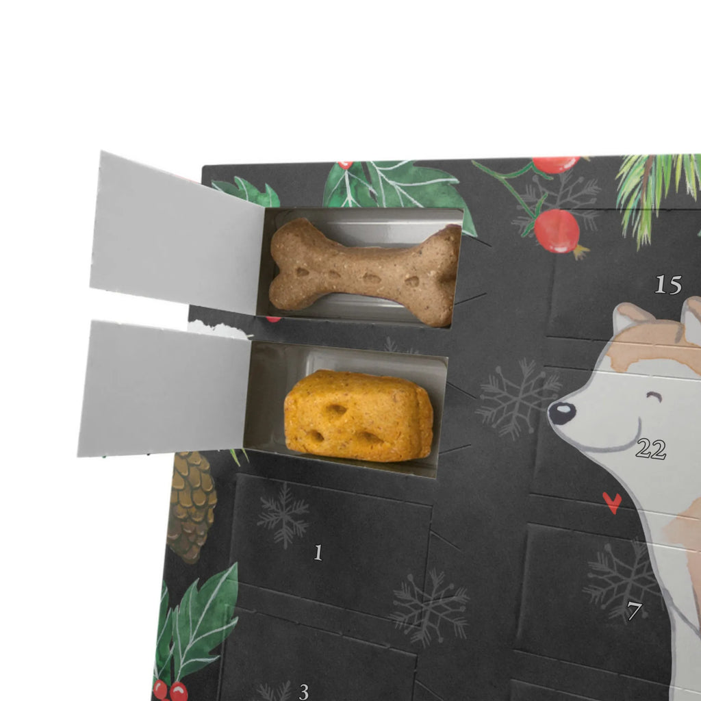 Personalisierter Hunde Adventskalender Akita Inu Moment Hunde Adventskalender, Hund, Hunderasse, Rassehund, Hundebesitzer, Geschenk, Tierfreund, Schenken, Welpe, Akita Ken, Japanischer Akita, Akita-Inu, Akita Inu