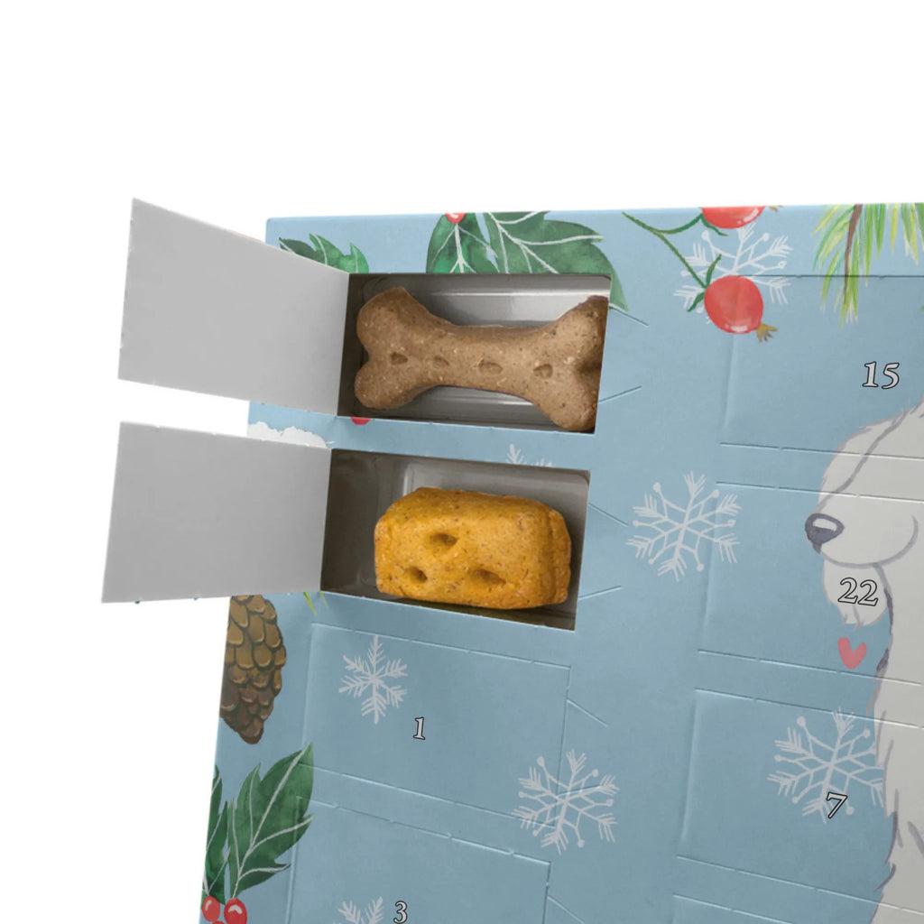 Personalisierter Hunde Adventskalender Bologneser Moment Hunde Adventskalender, Hund, Hunderasse, Rassehund, Hundebesitzer, Geschenk, Tierfreund, Schenken, Welpe, Bologneser