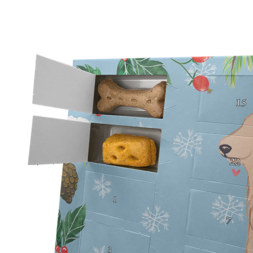 Personalisierter Hunde Adventskalender Cocker Spaniel Moment Hunde Adventskalender, Hund, Hunderasse, Rassehund, Hundebesitzer, Geschenk, Tierfreund, Schenken, Welpe, Englische Cockerspaniel, Cocker Spaniel