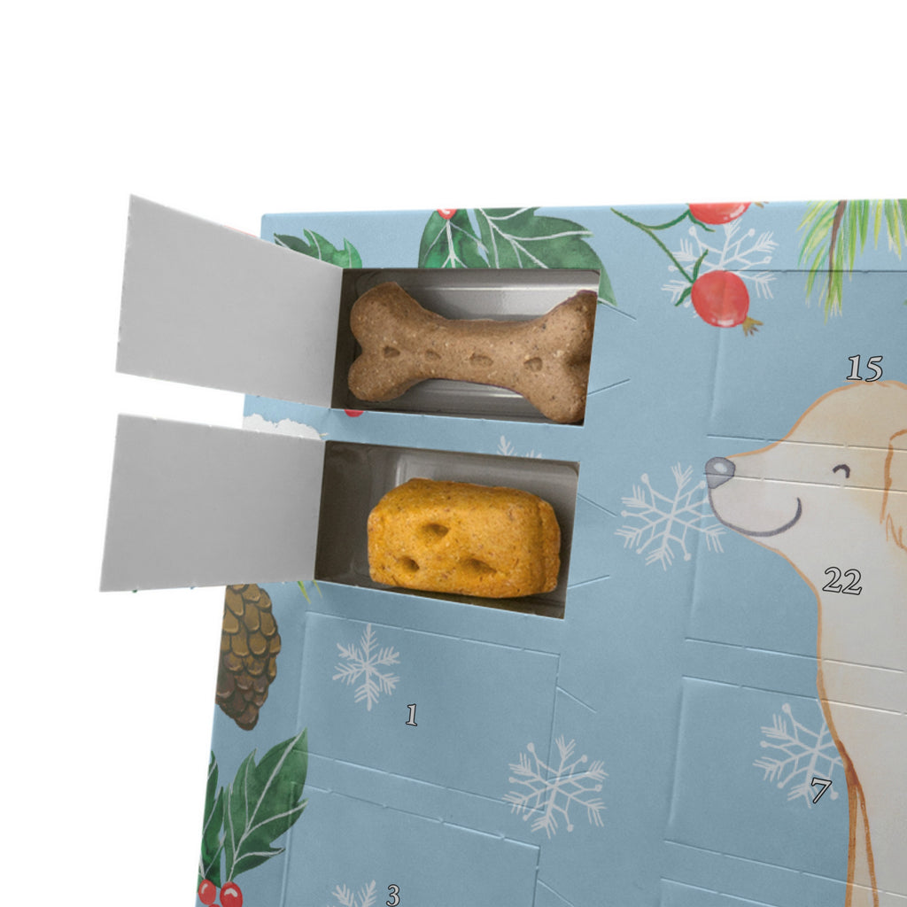 Personalisierter Hunde Adventskalender Golden Retriever Moment Hunde Adventskalender, Hund, Hunderasse, Rassehund, Hundebesitzer, Geschenk, Tierfreund, Schenken, Welpe, Golden Retriever, Goldie Hund