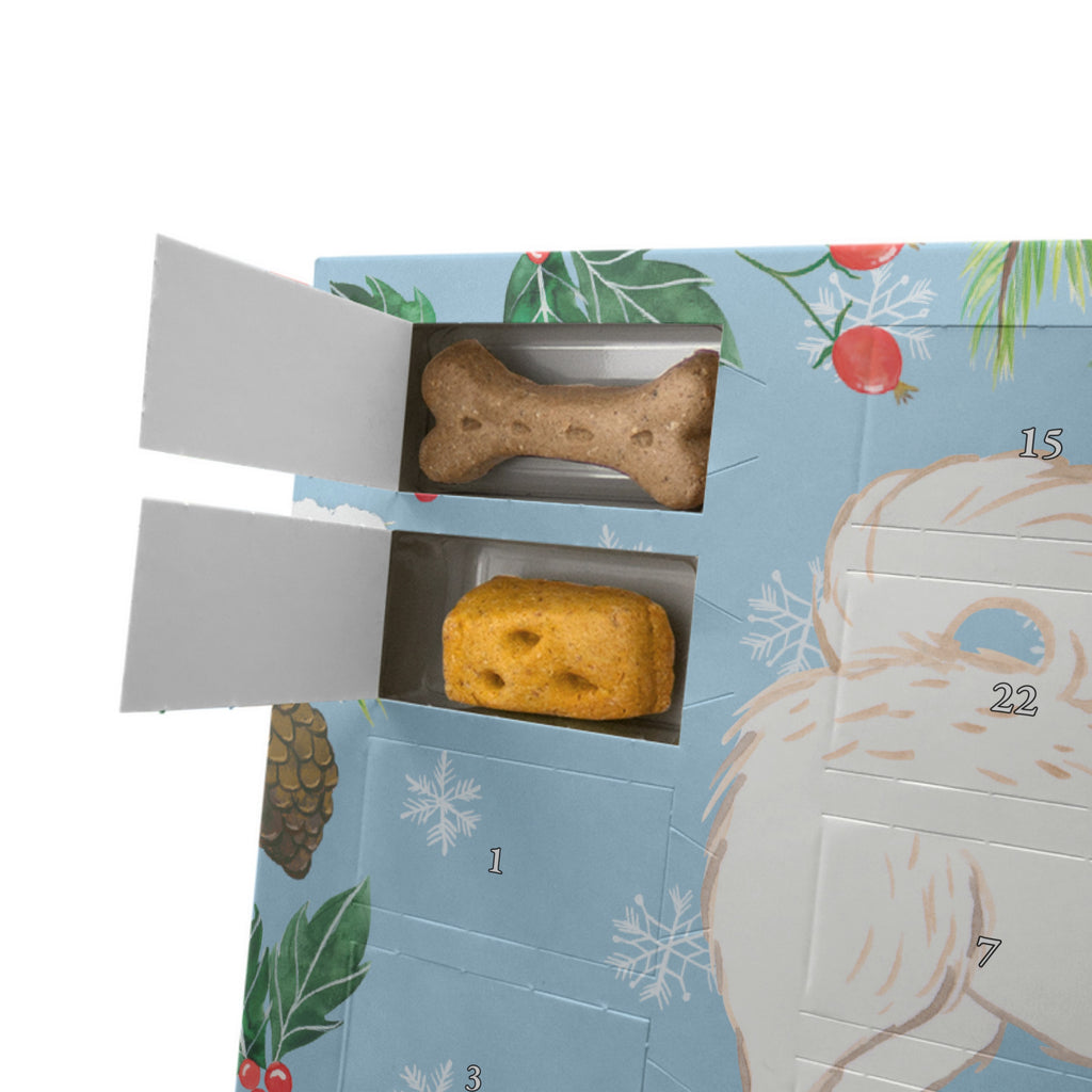 Personalisierter Hunde Adventskalender Maltipoo Moment Hunde Adventskalender, Hund, Hunderasse, Rassehund, Hundebesitzer, Geschenk, Tierfreund, Schenken, Welpe, Maltipoo, Kreuzung, Mischling