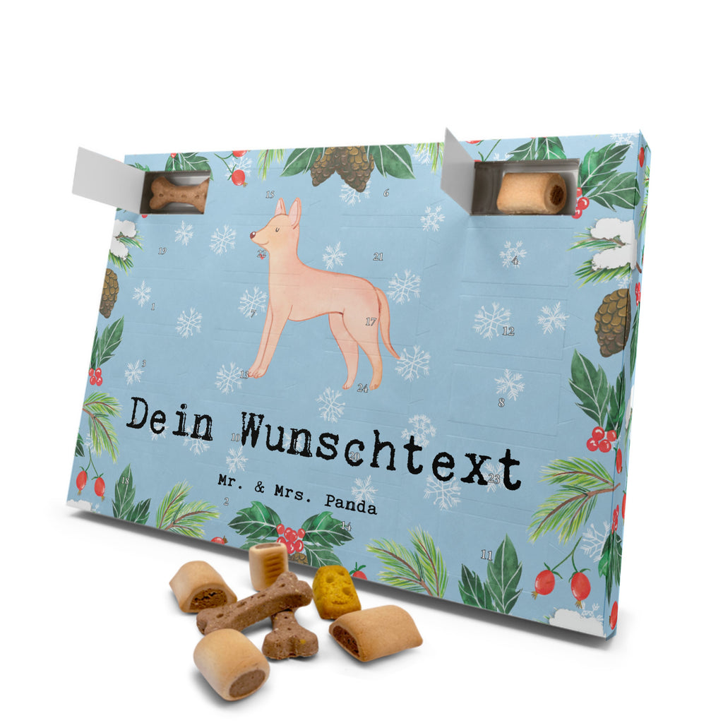 Personalisierter Hunde Adventskalender Pharaonenhund Moment Hunde Adventskalender, Hund, Hunderasse, Rassehund, Hundebesitzer, Geschenk, Tierfreund, Schenken, Welpe, Pharaonenhund, Pharaoh Hound, Kelb tal-Fenek