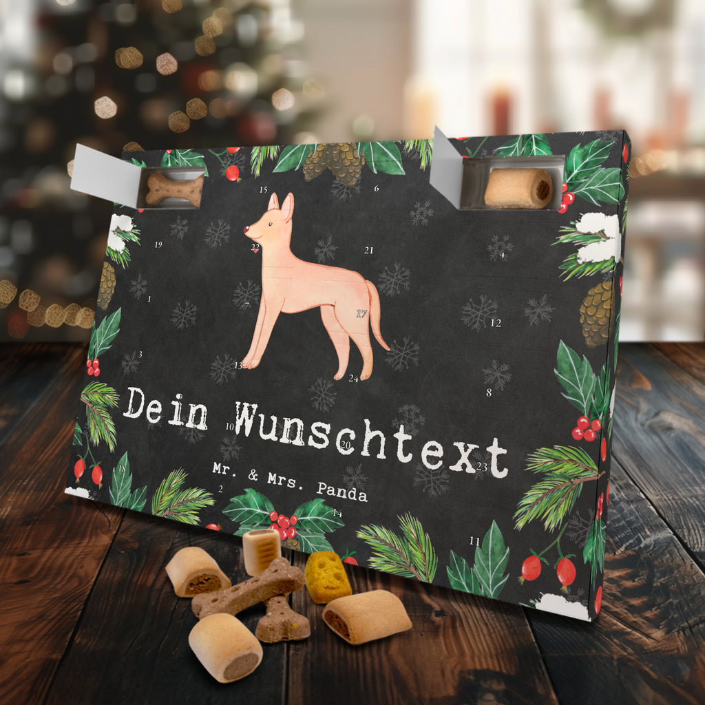 Personalisierter Hunde Adventskalender Pharaonenhund Moment Hunde Adventskalender, Hund, Hunderasse, Rassehund, Hundebesitzer, Geschenk, Tierfreund, Schenken, Welpe, Pharaonenhund, Pharaoh Hound, Kelb tal-Fenek