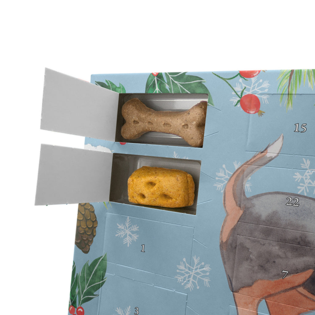 Personalisierter Hunde Adventskalender Basset Hound Moment Hunde Adventskalender, Hund, Hunderasse, Rassehund, Hundebesitzer, Geschenk, Tierfreund, Schenken, Welpe, Basset Hound, Basset