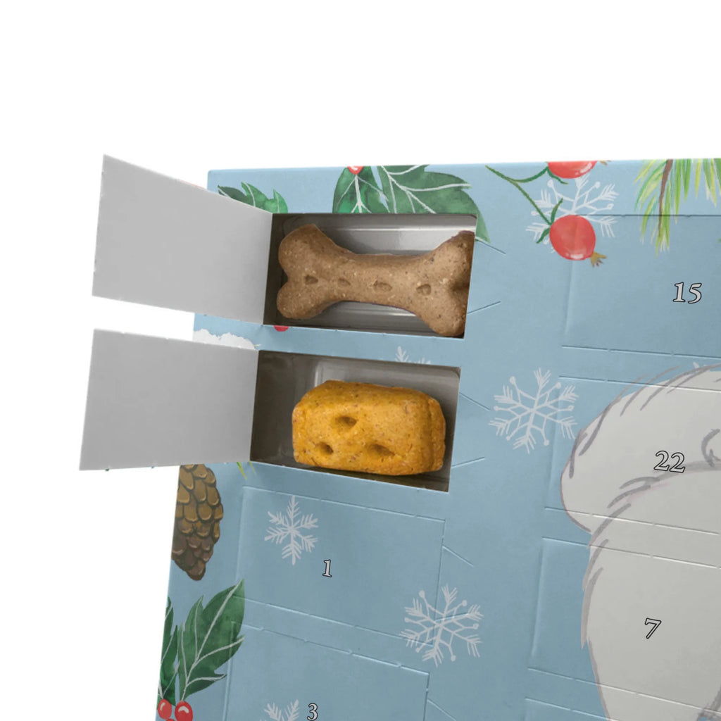 Personalisierter Hunde Adventskalender Spitz Moment Hunde Adventskalender, Hund, Hunderasse, Rassehund, Hundebesitzer, Geschenk, Tierfreund, Schenken, Welpe, Spitz