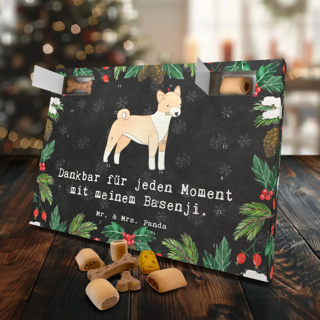 Hunde Adventskalender Basenji Moment Hunde Adventskalender, Weihnachtskalender, Kalender, Weihnachten, Adventskalender für Hunde, Hund, Hunderasse, Rassehund, Hundebesitzer, Geschenk, Tierfreund, Schenken, Welpe, Kongo-Terrier, Basenji