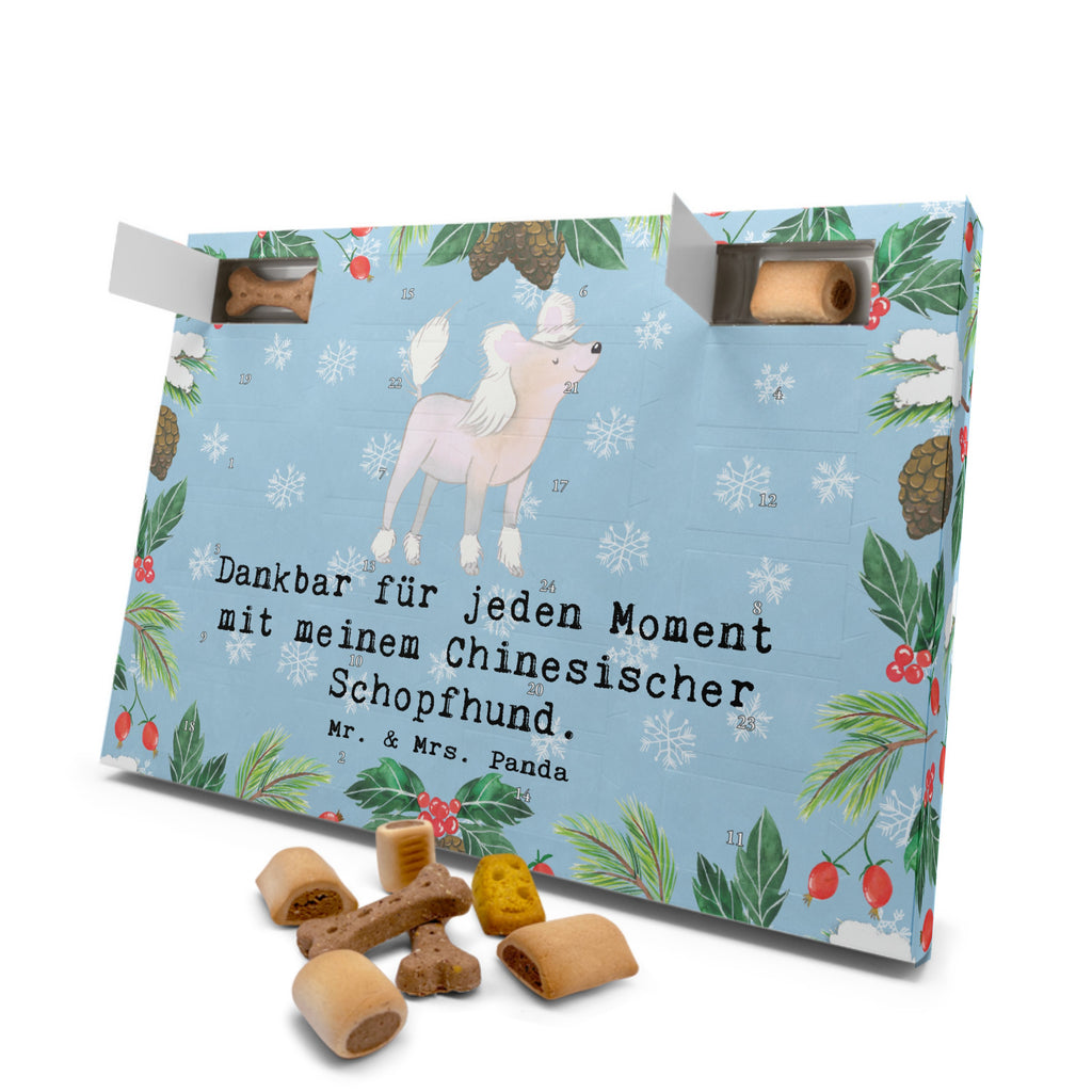 Hunde Adventskalender Chinesischer Schopfhund Moment Hunde Adventskalender, Weihnachtskalender, Kalender, Weihnachten, Adventskalender für Hunde, Hund, Hunderasse, Rassehund, Hundebesitzer, Geschenk, Tierfreund, Schenken, Welpe, Chinesischer Schopfhund, Chinese Crested Dog