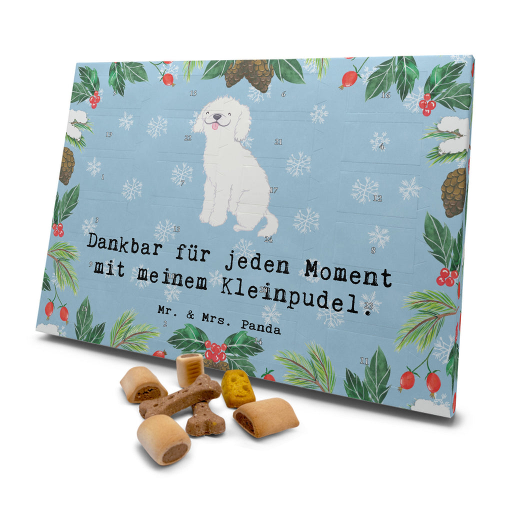 Hunde Adventskalender Kleinpudel Moment Hunde Adventskalender, Weihnachtskalender, Kalender, Weihnachten, Adventskalender für Hunde, Hund, Hunderasse, Rassehund, Hundebesitzer, Geschenk, Tierfreund, Schenken, Welpe, Pudel, Kleinpudel