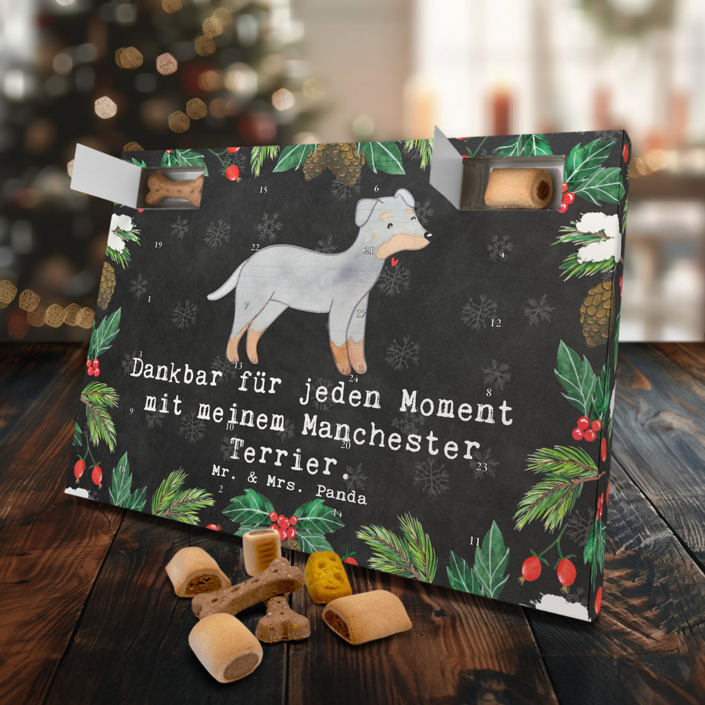 Hunde Adventskalender Manchester Terrier Moment Hunde Adventskalender, Weihnachtskalender, Kalender, Weihnachten, Adventskalender für Hunde, Hund, Hunderasse, Rassehund, Hundebesitzer, Geschenk, Tierfreund, Schenken, Welpe, Manchester Terrier