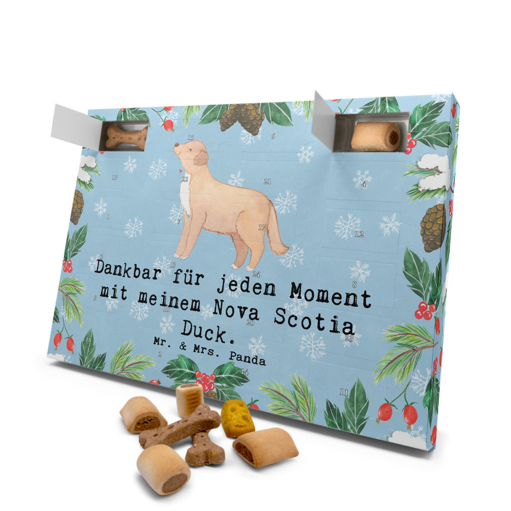 Hunde Adventskalender Nova Scotia Duck Moment Hunde Adventskalender, Weihnachtskalender, Kalender, Weihnachten, Adventskalender für Hunde, Hund, Hunderasse, Rassehund, Hundebesitzer, Geschenk, Tierfreund, Schenken, Welpe, Nova Scotia Duck Tolling Retriever, Retriever