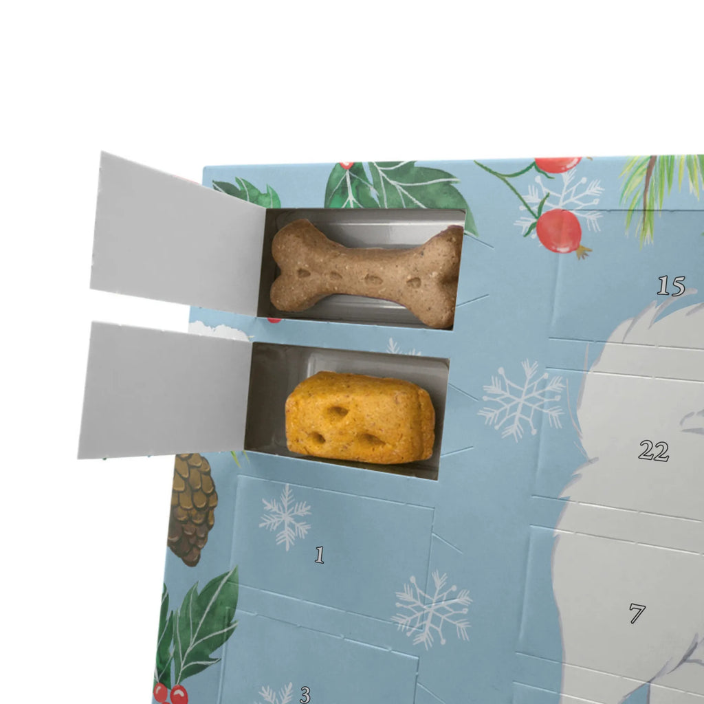 Hunde Adventskalender Samojede Moment Hunde Adventskalender, Weihnachtskalender, Kalender, Weihnachten, Adventskalender für Hunde, Hund, Hunderasse, Rassehund, Hundebesitzer, Geschenk, Tierfreund, Schenken, Welpe, Samojede, Samojedenhund, Samojedenspitz