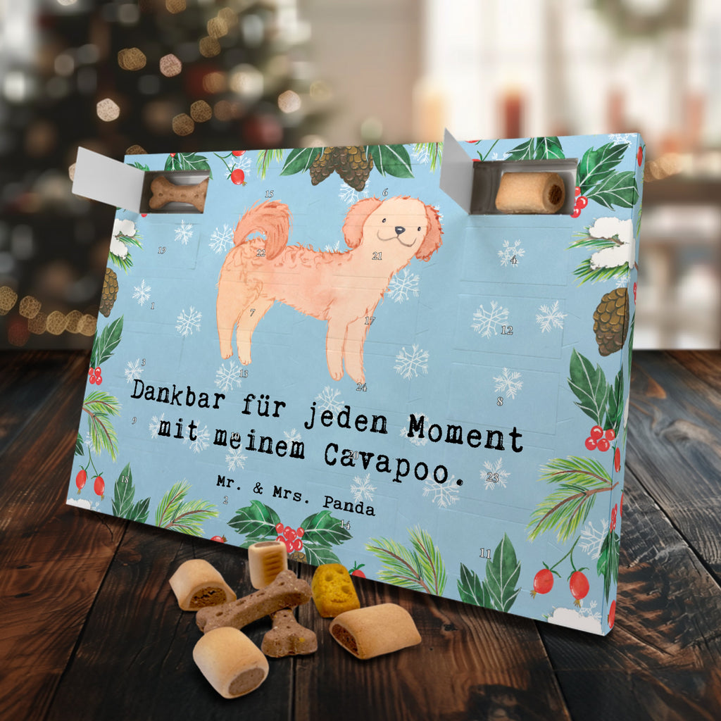 Hunde Adventskalender Cavapoo Moment Hunde Adventskalender, Weihnachtskalender, Kalender, Weihnachten, Adventskalender für Hunde, Hund, Hunderasse, Rassehund, Hundebesitzer, Geschenk, Tierfreund, Schenken, Welpe, Cavapoo, Cavoodle