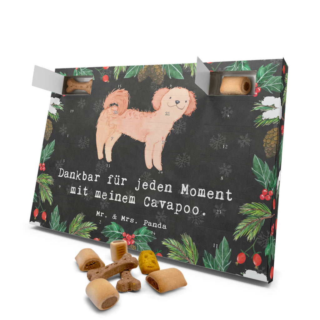 Hunde Adventskalender Cavapoo Moment Hunde Adventskalender, Weihnachtskalender, Kalender, Weihnachten, Adventskalender für Hunde, Hund, Hunderasse, Rassehund, Hundebesitzer, Geschenk, Tierfreund, Schenken, Welpe, Cavapoo, Cavoodle