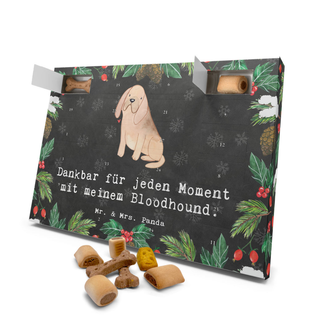 Hunde Adventskalender Bloodhound Moment Hunde Adventskalender, Weihnachtskalender, Kalender, Weihnachten, Adventskalender für Hunde, Hund, Hunderasse, Rassehund, Hundebesitzer, Geschenk, Tierfreund, Schenken, Welpe, Bluthund, Bloodhound, St. Hubertushund, Chien de Saint Hubert