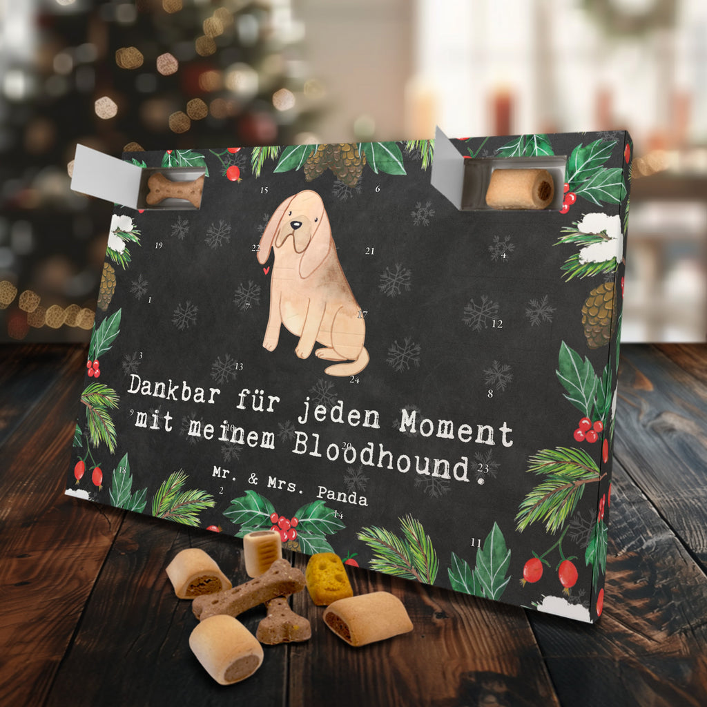 Hunde Adventskalender Bloodhound Moment Hunde Adventskalender, Weihnachtskalender, Kalender, Weihnachten, Adventskalender für Hunde, Hund, Hunderasse, Rassehund, Hundebesitzer, Geschenk, Tierfreund, Schenken, Welpe, Bluthund, Bloodhound, St. Hubertushund, Chien de Saint Hubert