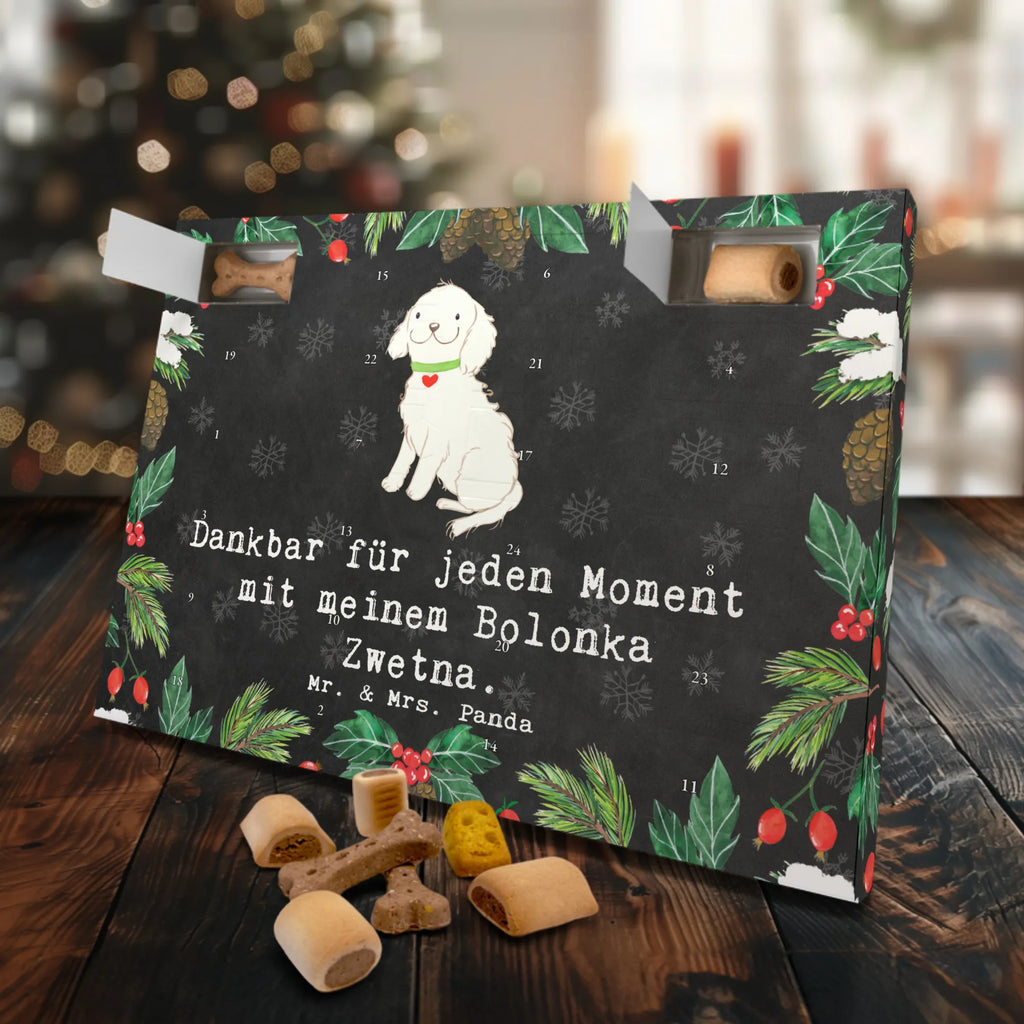 Hunde Adventskalender Bolonka Zwetna Moment Hunde Adventskalender, Weihnachtskalender, Kalender, Weihnachten, Adventskalender für Hunde, Hund, Hunderasse, Rassehund, Hundebesitzer, Geschenk, Tierfreund, Schenken, Welpe, Bolonka Zwetna, Tsvetnaya Bolonka