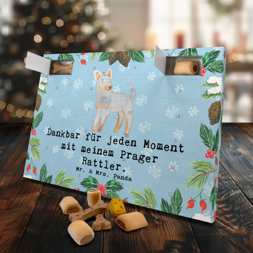 Hunde Adventskalender Prager Rattler Moment Hunde Adventskalender, Weihnachtskalender, Kalender, Weihnachten, Adventskalender für Hunde, Hund, Hunderasse, Rassehund, Hundebesitzer, Geschenk, Tierfreund, Schenken, Welpe, Pincher, Prager Rattler