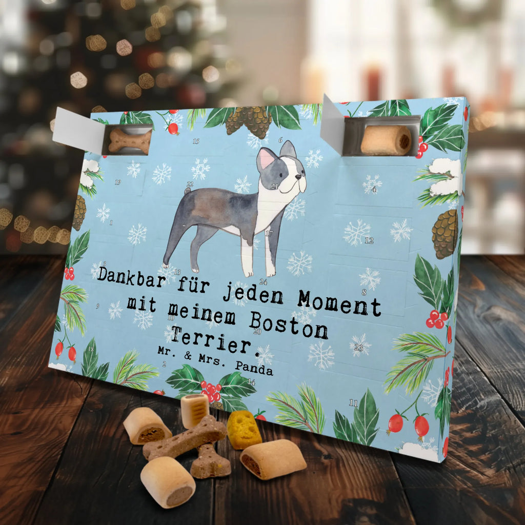 Hunde Adventskalender Boston Terrier Moment Hunde Adventskalender, Weihnachtskalender, Kalender, Weihnachten, Adventskalender für Hunde, Hund, Hunderasse, Rassehund, Hundebesitzer, Geschenk, Tierfreund, Schenken, Welpe, Boston Terrier