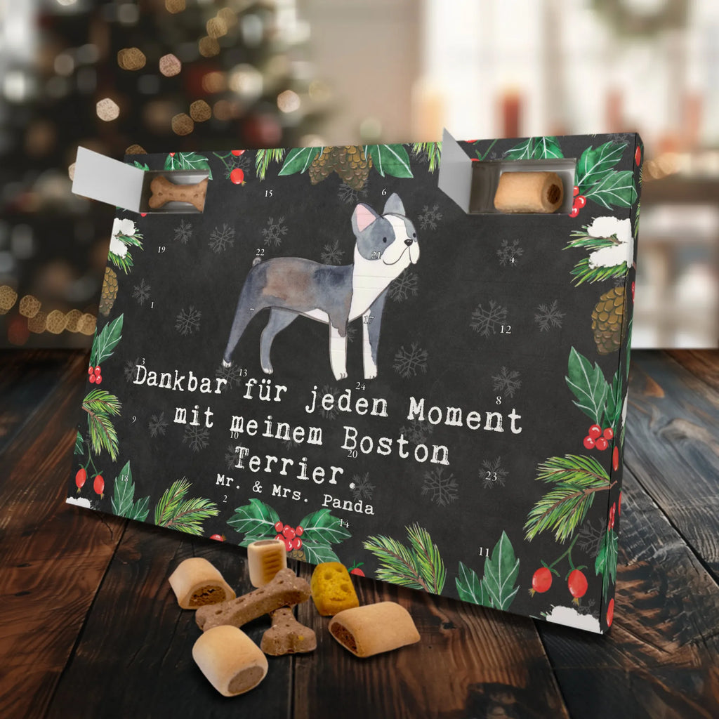 Hunde Adventskalender Boston Terrier Moment Hunde Adventskalender, Weihnachtskalender, Kalender, Weihnachten, Adventskalender für Hunde, Hund, Hunderasse, Rassehund, Hundebesitzer, Geschenk, Tierfreund, Schenken, Welpe, Boston Terrier