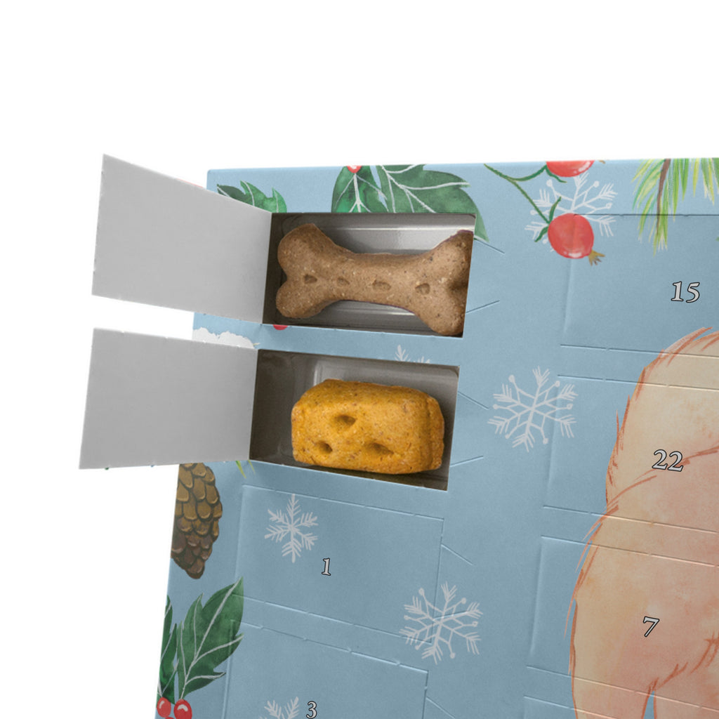 Hunde Adventskalender Chow-Chow Moment Hunde Adventskalender, Weihnachtskalender, Kalender, Weihnachten, Adventskalender für Hunde, Hund, Hunderasse, Rassehund, Hundebesitzer, Geschenk, Tierfreund, Schenken, Welpe, Chow-Chow, Asiatischer Spitz