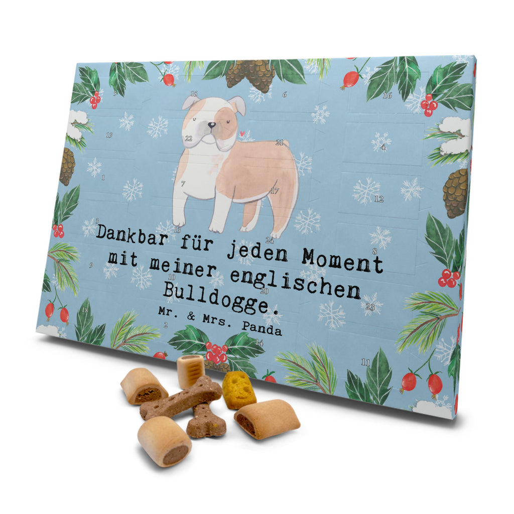 Hunde Adventskalender Englische Bulldogge Moment Hunde Adventskalender, Weihnachtskalender, Kalender, Weihnachten, Adventskalender für Hunde, Hund, Hunderasse, Rassehund, Hundebesitzer, Geschenk, Tierfreund, Schenken, Welpe, Englische Bulldogge, English Bulldog