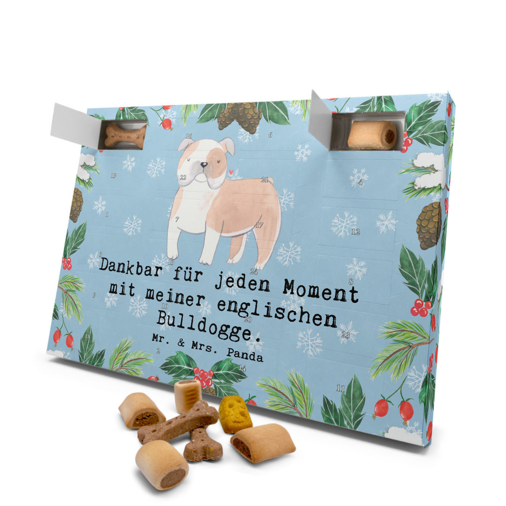 Hunde Adventskalender Englische Bulldogge Moment Hunde Adventskalender, Weihnachtskalender, Kalender, Weihnachten, Adventskalender für Hunde, Hund, Hunderasse, Rassehund, Hundebesitzer, Geschenk, Tierfreund, Schenken, Welpe, Englische Bulldogge, English Bulldog