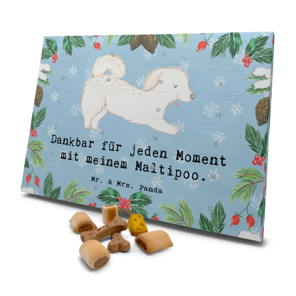 Hunde Adventskalender Maltipoo Moment Hunde Adventskalender, Weihnachtskalender, Kalender, Weihnachten, Adventskalender für Hunde, Hund, Hunderasse, Rassehund, Hundebesitzer, Geschenk, Tierfreund, Schenken, Welpe, Maltipoo, Kreuzung, Mischling