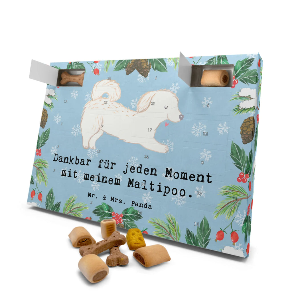 Hunde Adventskalender Maltipoo Moment Hunde Adventskalender, Weihnachtskalender, Kalender, Weihnachten, Adventskalender für Hunde, Hund, Hunderasse, Rassehund, Hundebesitzer, Geschenk, Tierfreund, Schenken, Welpe, Maltipoo, Kreuzung, Mischling