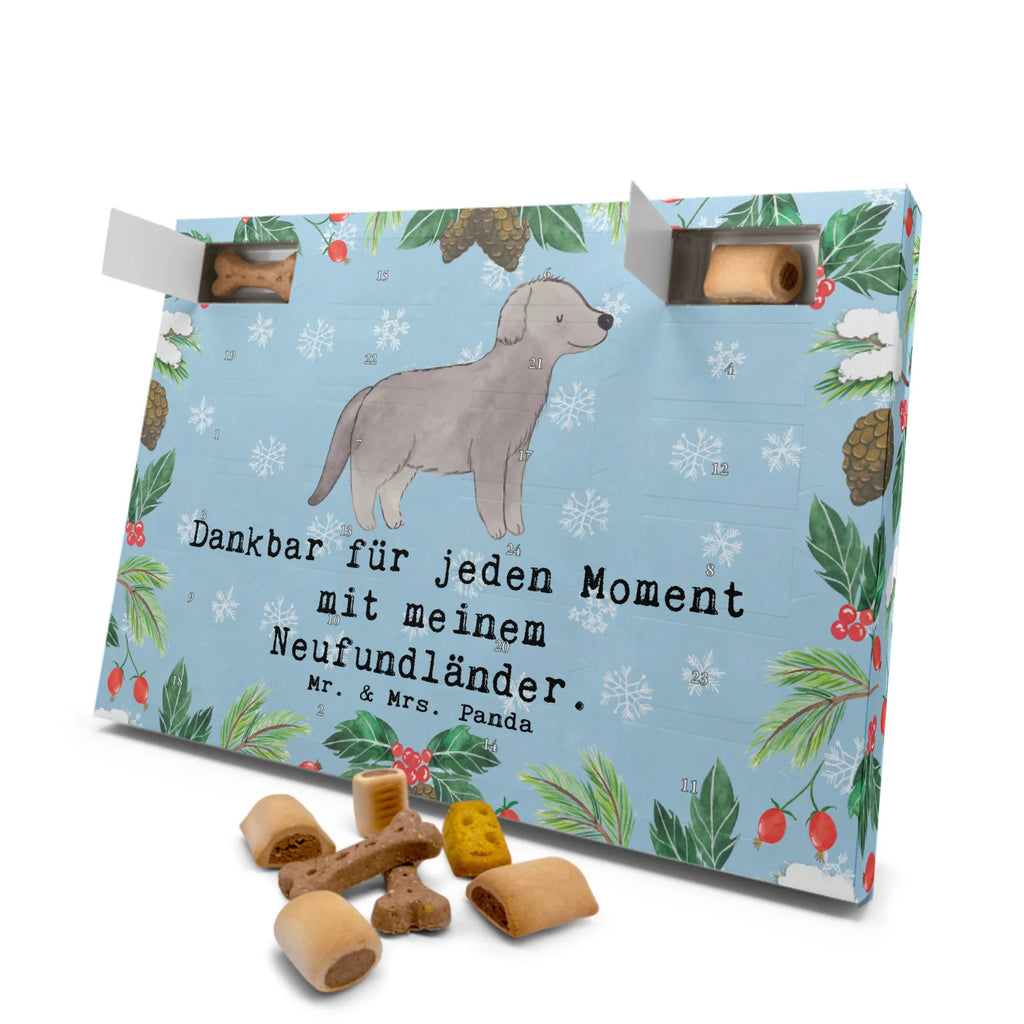 Hunde Adventskalender Neufundländer Moment Hunde Adventskalender, Weihnachtskalender, Kalender, Weihnachten, Adventskalender für Hunde, Hund, Hunderasse, Rassehund, Hundebesitzer, Geschenk, Tierfreund, Schenken, Welpe, Neufundländer, Newfoundland