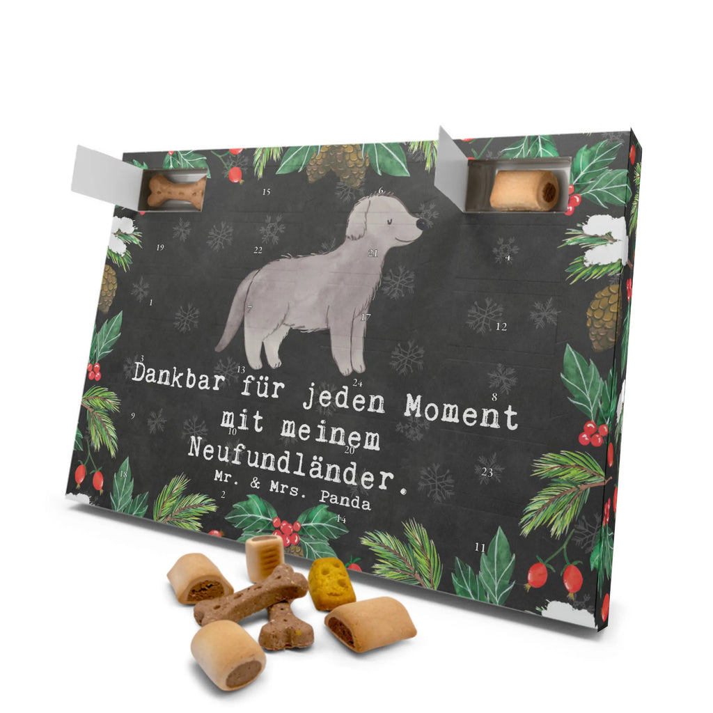 Hunde Adventskalender Neufundländer Moment Hunde Adventskalender, Weihnachtskalender, Kalender, Weihnachten, Adventskalender für Hunde, Hund, Hunderasse, Rassehund, Hundebesitzer, Geschenk, Tierfreund, Schenken, Welpe, Neufundländer, Newfoundland