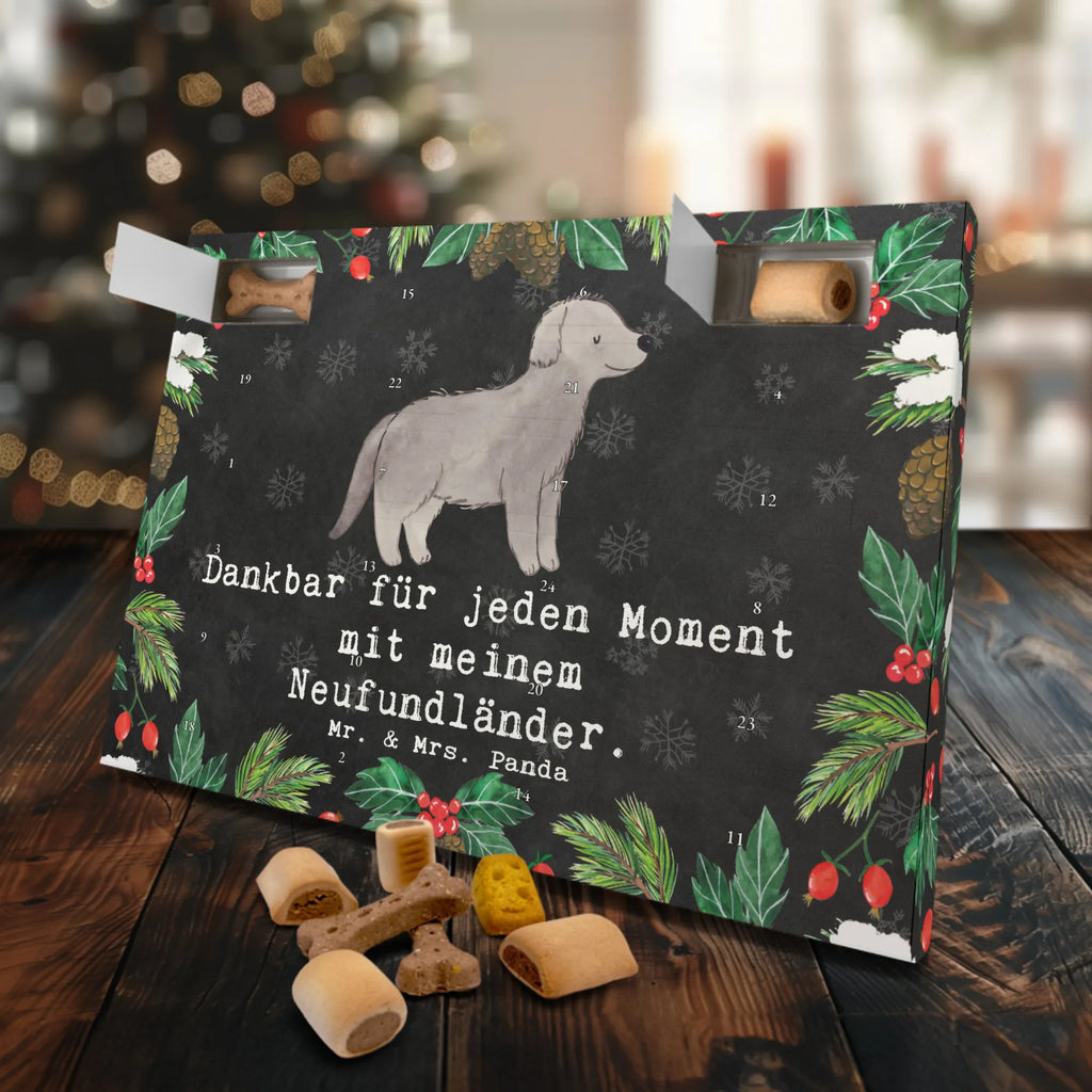 Hunde Adventskalender Neufundländer Moment Hunde Adventskalender, Weihnachtskalender, Kalender, Weihnachten, Adventskalender für Hunde, Hund, Hunderasse, Rassehund, Hundebesitzer, Geschenk, Tierfreund, Schenken, Welpe, Neufundländer, Newfoundland