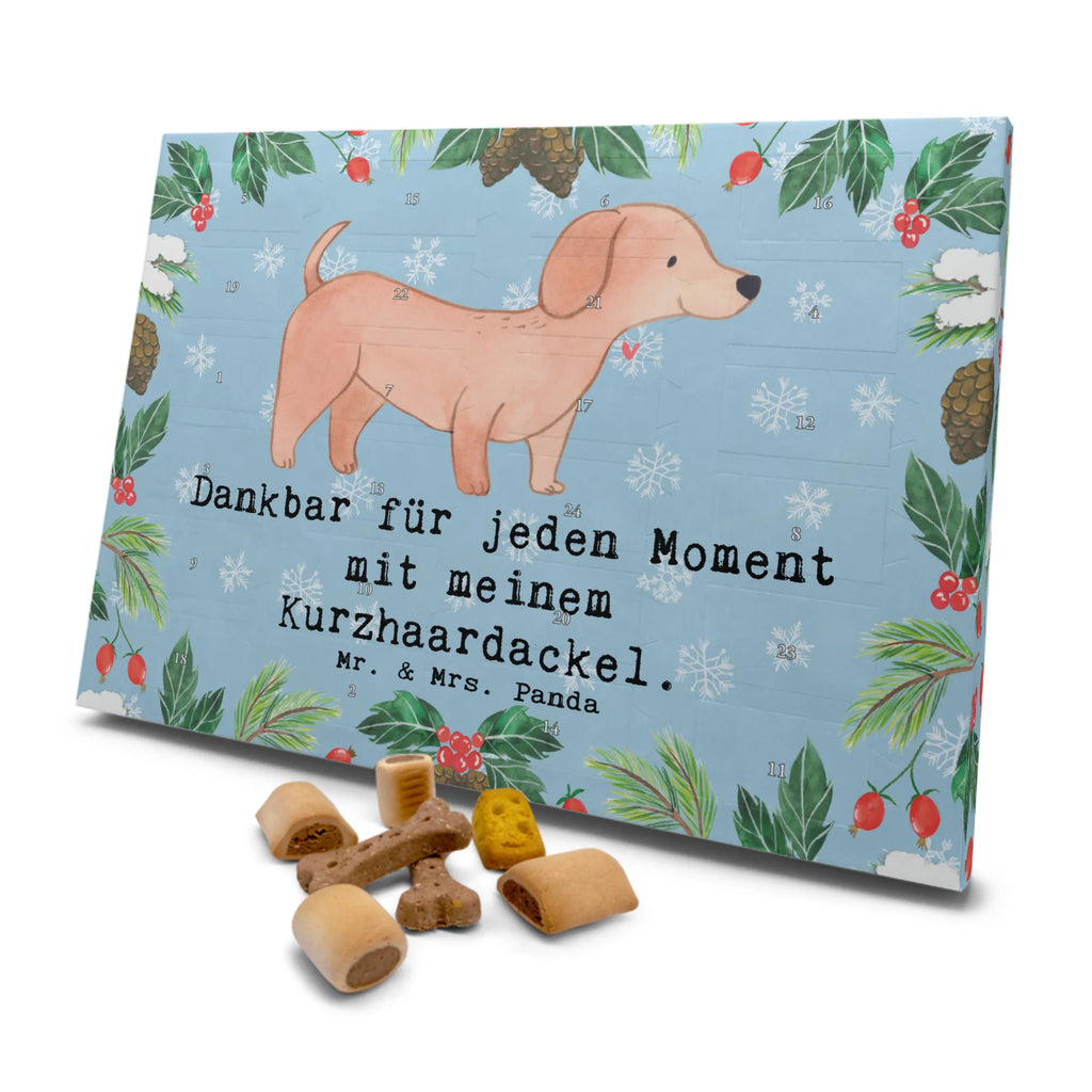 Hunde Adventskalender Dackel Kurzhaardackel Moment Hunde Adventskalender, Weihnachtskalender, Kalender, Weihnachten, Adventskalender für Hunde, Hund, Hunderasse, Rassehund, Hundebesitzer, Geschenk, Tierfreund, Schenken, Welpe, Teckel, Dachshund, Kurzhaardackel