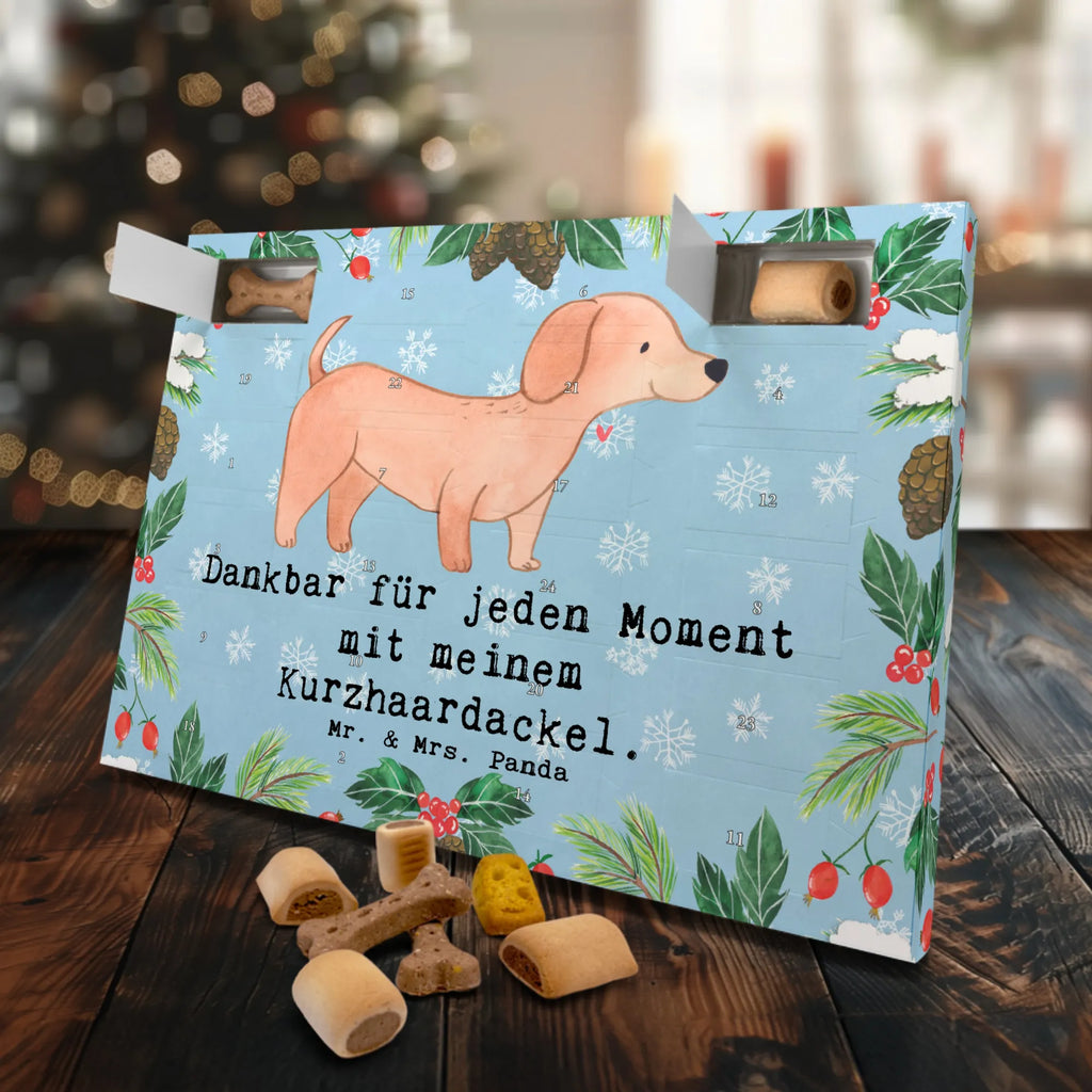 Hunde Adventskalender Dackel Kurzhaardackel Moment Hunde Adventskalender, Weihnachtskalender, Kalender, Weihnachten, Adventskalender für Hunde, Hund, Hunderasse, Rassehund, Hundebesitzer, Geschenk, Tierfreund, Schenken, Welpe, Teckel, Dachshund, Kurzhaardackel