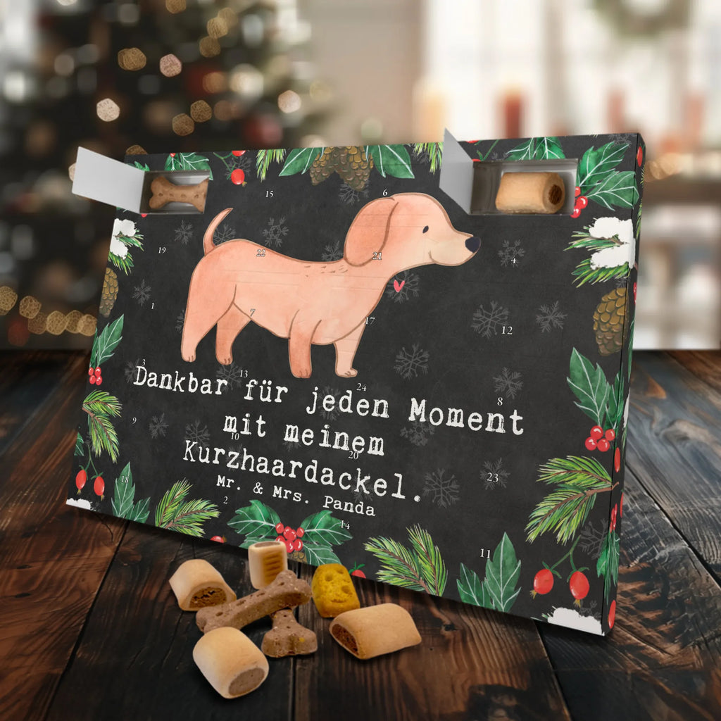 Hunde Adventskalender Dackel Kurzhaardackel Moment Hunde Adventskalender, Weihnachtskalender, Kalender, Weihnachten, Adventskalender für Hunde, Hund, Hunderasse, Rassehund, Hundebesitzer, Geschenk, Tierfreund, Schenken, Welpe, Teckel, Dachshund, Kurzhaardackel